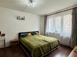 Pronájem bytu 1+1, Cheb, Stavbařů, 37 m2