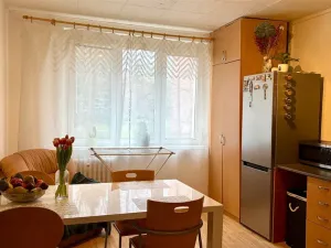 Pronájem bytu 1+1, Cheb, Stavbařů, 37 m2