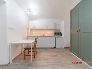 Pronájem bytu 1+kk, Hradec Králové, Dlouhá, 25 m2