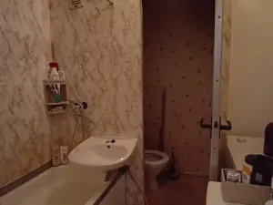 Pronájem bytu 1+kk, Opava, Antonína Sovy, 25 m2