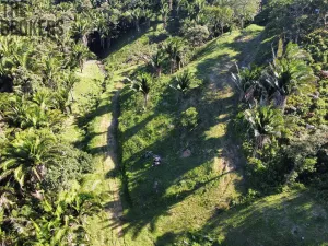 Prodej pozemku, Coxen Hole, Roatán, Honduras, 350 m2