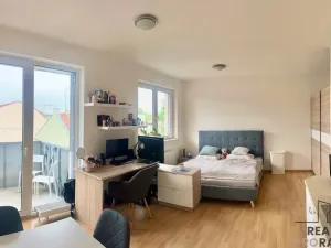 Pronájem bytu 1+kk, Brno, Košinova, 38 m2