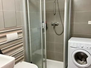 Pronájem bytu 1+kk, Brno, Košinova, 38 m2