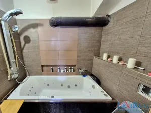 Prodej vícegeneračního domu, Kasejovice, 433 m2