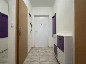 Pronájem bytu 1+kk, Brno - Lesná, Tomečkova, 41 m2