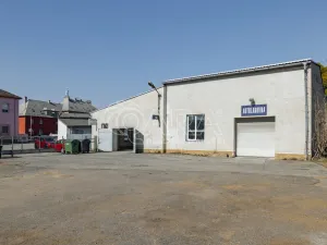 Pronájem výrobních prostor, Nový Jičín, Riegrova, 2293 m2