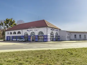 Pronájem výrobních prostor, Nový Jičín, Riegrova, 2293 m2