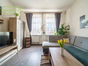 Prodej bytu 1+1, Karlovy Vary, Jabloňová, 38 m2