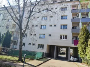 Prodej bytu 2+kk, Brno - Černovice, Zvěřinova, 43 m2