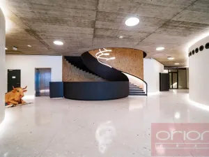 Pronájem bytu 4+kk, Praha - Smíchov, Holečkova, 207 m2