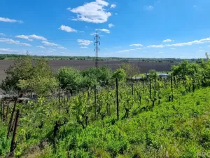 Prodej chaty, Lužice, 31 m2