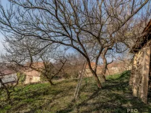 Prodej chalupy, Horní Dunajovice, 350 m2