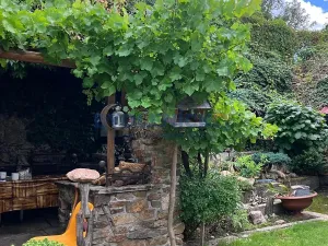 Prodej rodinného domu, Chlum u Třeboně, Husova, 120 m2