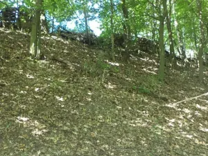 Dražba louky, Děčín, 675 m2