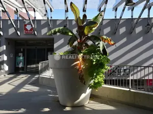 Pronájem obchodního prostoru, Strakonice, Bezděkovská, 58 m2