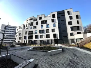 Pronájem bytu 2+kk, Praha - Žižkov, Olgy Havlové, 53 m2
