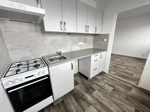 Pronájem bytu 1+1, Ostrava - Mariánské Hory, Václavská, 26 m2