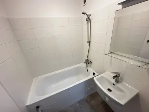 Pronájem bytu 1+1, Ostrava - Mariánské Hory, Václavská, 26 m2