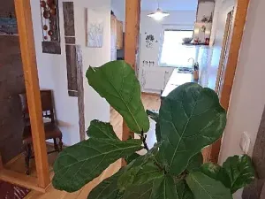 Prodej rodinného domu, Tišice, Hasičská, 150 m2