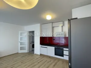 Pronájem bytu 2+kk, České Budějovice, Hálkova, 54 m2