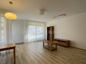 Pronájem bytu 2+kk, České Budějovice, Hálkova, 54 m2