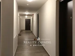 Pronájem bytu 1+kk, Praha - Třebonice, U Radosti, 29 m2