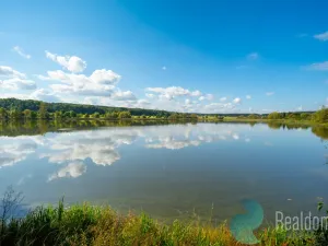 Prodej pozemku pro bydlení, Litvínovice - Šindlovy Dvory, 1004 m2