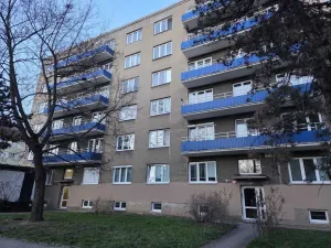 Prodej bytu 1+1, Praha - Vršovice, U Slavie, 44 m2