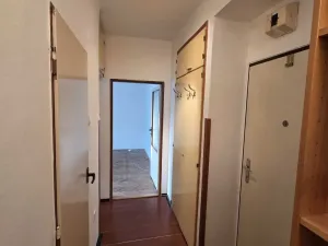 Prodej bytu 1+1, Praha - Vršovice, U Slavie, 44 m2