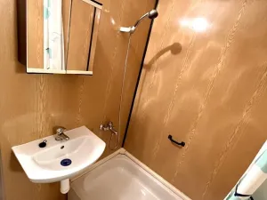 Pronájem bytu 1+kk, Horní Bříza, U Vrbky, 27 m2