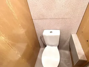 Pronájem bytu 1+kk, Horní Bříza, U Vrbky, 27 m2