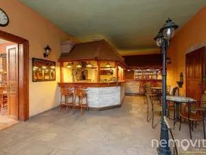 Prodej restaurace, Týnec nad Sázavou, 479 m2