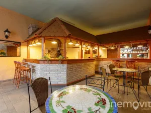 Prodej restaurace, Týnec nad Sázavou, 479 m2