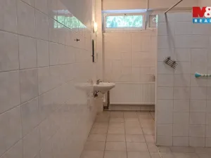 Prodej obchodního prostoru, Práče, 3212 m2