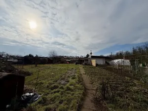 Prodej zahrady, Most, 390 m2