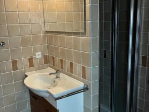 Prodej chalupy, Nový Hrozenkov, 287 m2