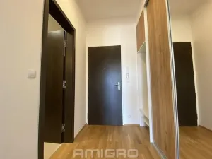 Pronájem bytu 1+kk, Brno, Šumavská, 43 m2