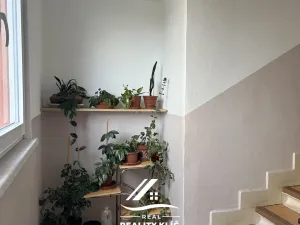 Pronájem bytu 2+1, Ostrava, Plavecká, 53 m2
