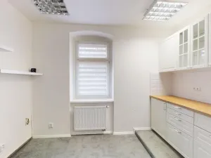 Pronájem obchodního prostoru, Plzeň, Na Roudné, 43 m2