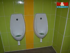 Prodej obchodního prostoru, Červený Kostelec, Boženy Němcové, 239 m2