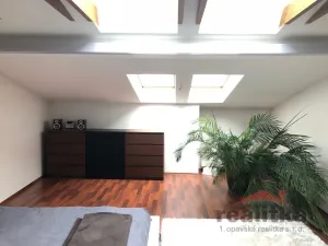 Prodej bytu 3+kk, Opava - Předměstí, Nákladní, 130 m2