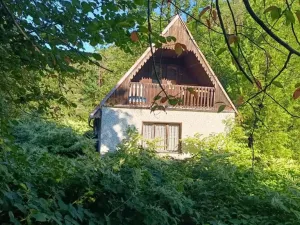 Prodej chaty, Borovnice, 60 m2