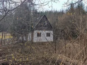 Prodej chaty, Borovnice, 60 m2