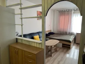 Prodej bytu 1+kk, České Budějovice, V. Volfa, 31 m2