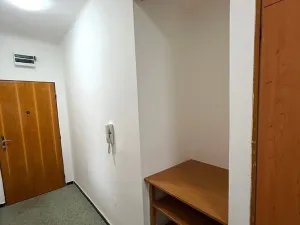 Prodej bytu 3+1, Plzeň, Pod Švabinami, 72 m2