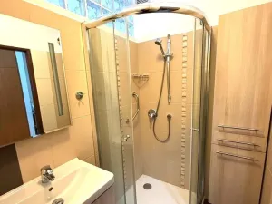 Prodej bytu 3+1, Plzeň, Pod Švabinami, 72 m2