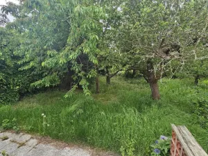 Prodej chaty, Praha - Dejvice, Na Pučálce, 21 m2