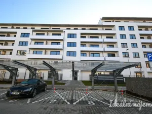 Pronájem bytu 2+kk, Brno, Jižní, 35 m2