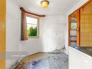 Prodej chalupy, Starý Plzenec, Nádražní, 110 m2