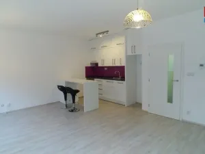 Pronájem bytu 1+kk, Brno - Slatina, Kigginsova, 42 m2